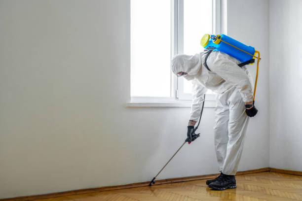 Best Cockroach Control Services  in Niantic, CT