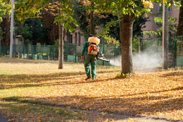 Bird Control in Niantic, CT