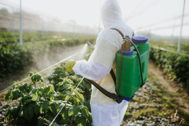 Best Best Pest Control Companies  in Niantic, CT